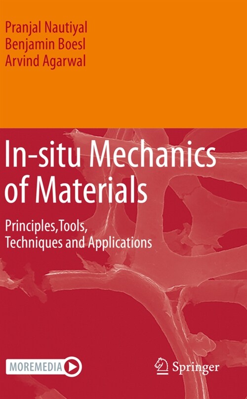 In-Situ Mechanics of Materials: Principles, Tools, Techniques and Applications (Paperback, 2020)