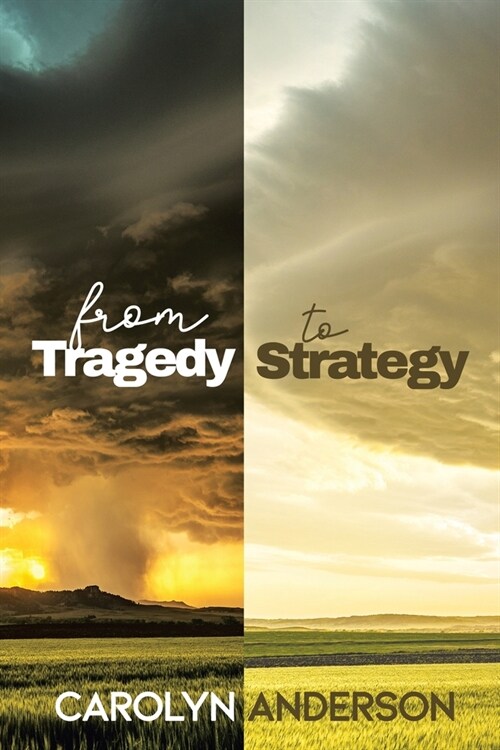 From Tragedy to Strategy (Paperback)