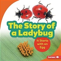 (The) story of a ladybug: it starts with an egg