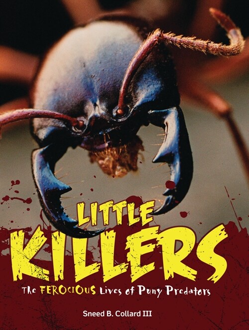 Little Killers: The Ferocious Lives of Puny Predators (Library Binding)