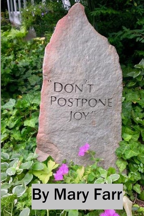 Dont Postpone Joy (Paperback)