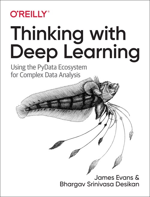 Thinking with Deep Learning: Using the Pydata Ecosystem for Complex Data Analysis (Paperback)