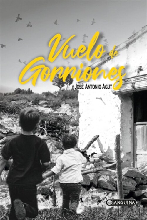 VUELO DE GORRIONES (Hardcover)