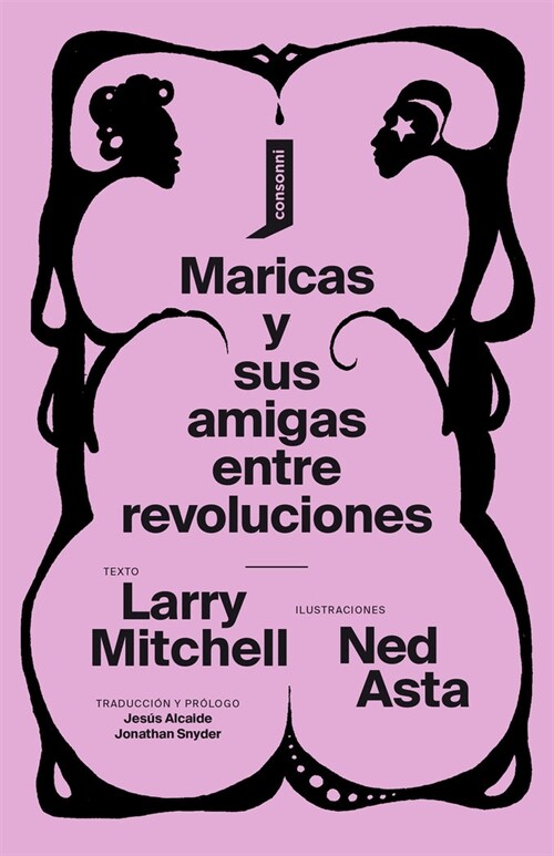 MARICAS Y SUS AMIGAS ENTRE REVOLUCIONES (Hardcover)