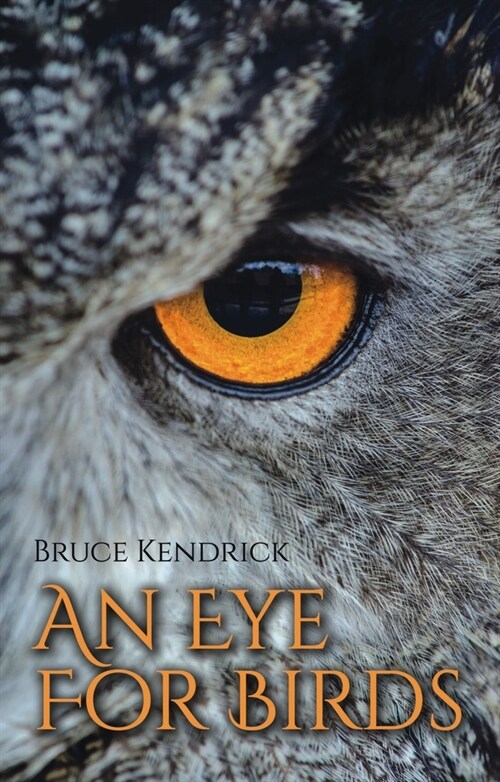 An Eye for Birds (Paperback)