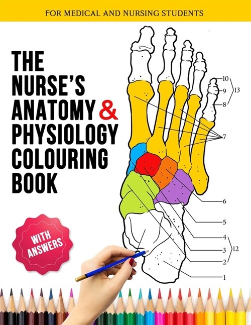 The Nurses Anatomy and Physilogy Colouring Book for Medical and Nursing Students : The Complete Anatomy and Physiology Coloring workbook & Self-asses (Paperback)