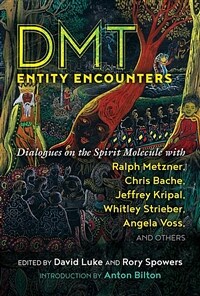 Dmt Entity Encounters: Dialogues on the Spirit Molecule with Ralph Metzner, Chris Bache, Jeffrey Kripal, Whitley Strieber, Angela Voss, and O (Paperback)