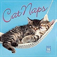 Cat Naps (Paperback)