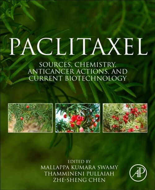 Paclitaxel : Sources, Chemistry, Anticancer Actions, and Current Biotechnology (Paperback)