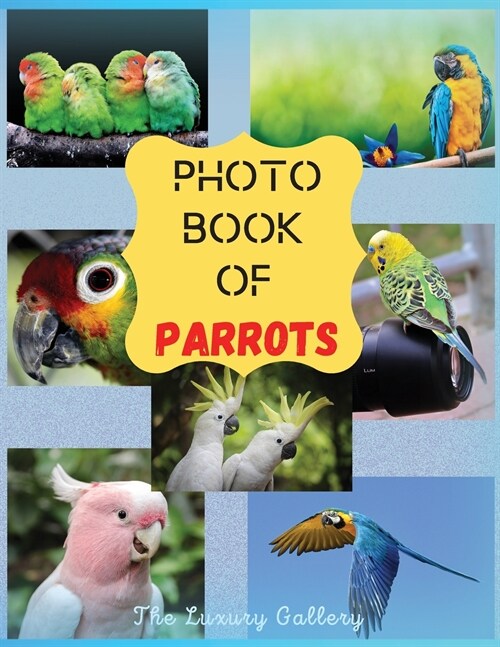 Photo Book of Parrots: The Best Selection of 44 Exotic Parrot Photos from the Best Photographers in Manhattan (Paperback)