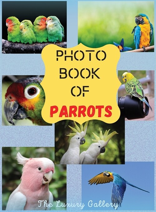 Photo Book of Parrots: The Best Selection of 44 Exotic Parrot Photos from the Best Photographers in Manhattan (Hardcover)