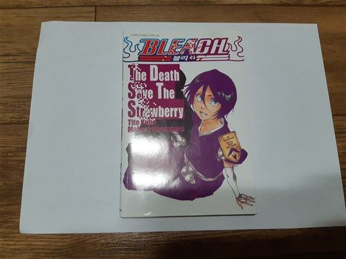 알라딘 중고 소설 블리치 Bleach The Death Save The Strawberry