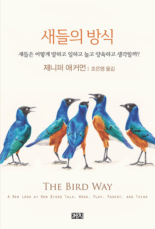 [중고] 새들의 방식