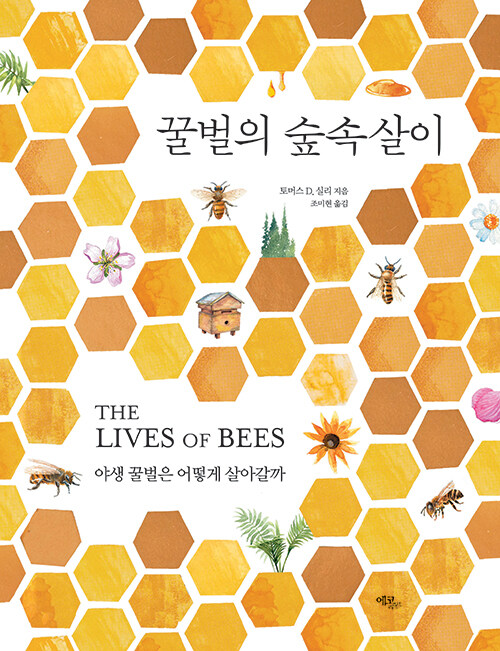 [중고] 꿀벌의 숲속살이