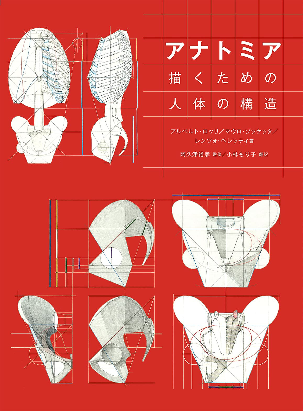 アナトミア 描くための人體の構造