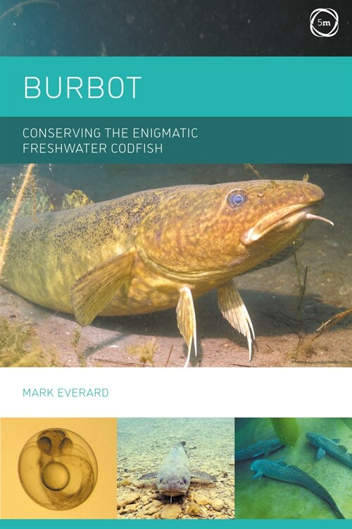 Burbot: Conserving the Enigmatic Freshwater Codfish (Hardcover)