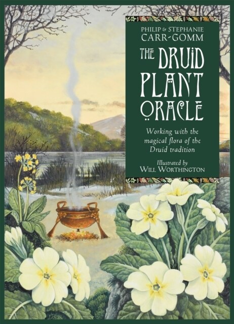 The Druid Plant Oracle : Working with the magical flora of the Druid tradition (Multiple-component retail product, boxed, Reissue)