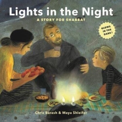 LIGHTS IN THE NIGHT (Hardcover)