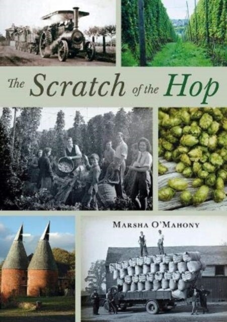 The Scratch of the Hop : Hop Picking in Herefordshire, Worcestershire and Shropshire (Paperback)