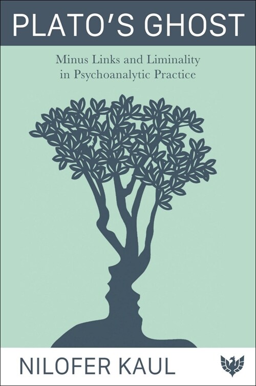 Platos Ghost : Minus Links and Liminality in Psychoanalytic Practice (Paperback)