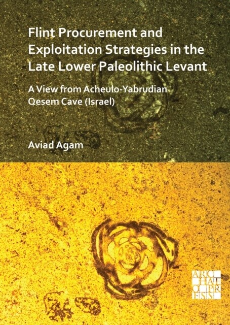 Flint Procurement and Exploitation Strategies in the Late Lower Paleolithic Levant : A View from Acheulo-Yabrudian Qesem Cave (Israel) (Paperback)