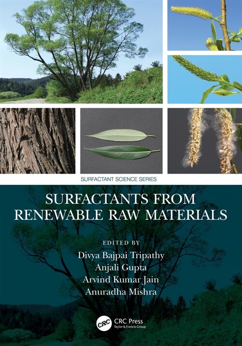 Surfactants from Renewable Raw Materials (Hardcover, 1)