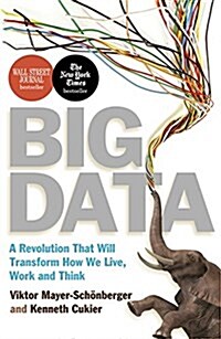 [중고] Big Data : A Revolution That Will Transform How We Live, Work and Think (Paperback)