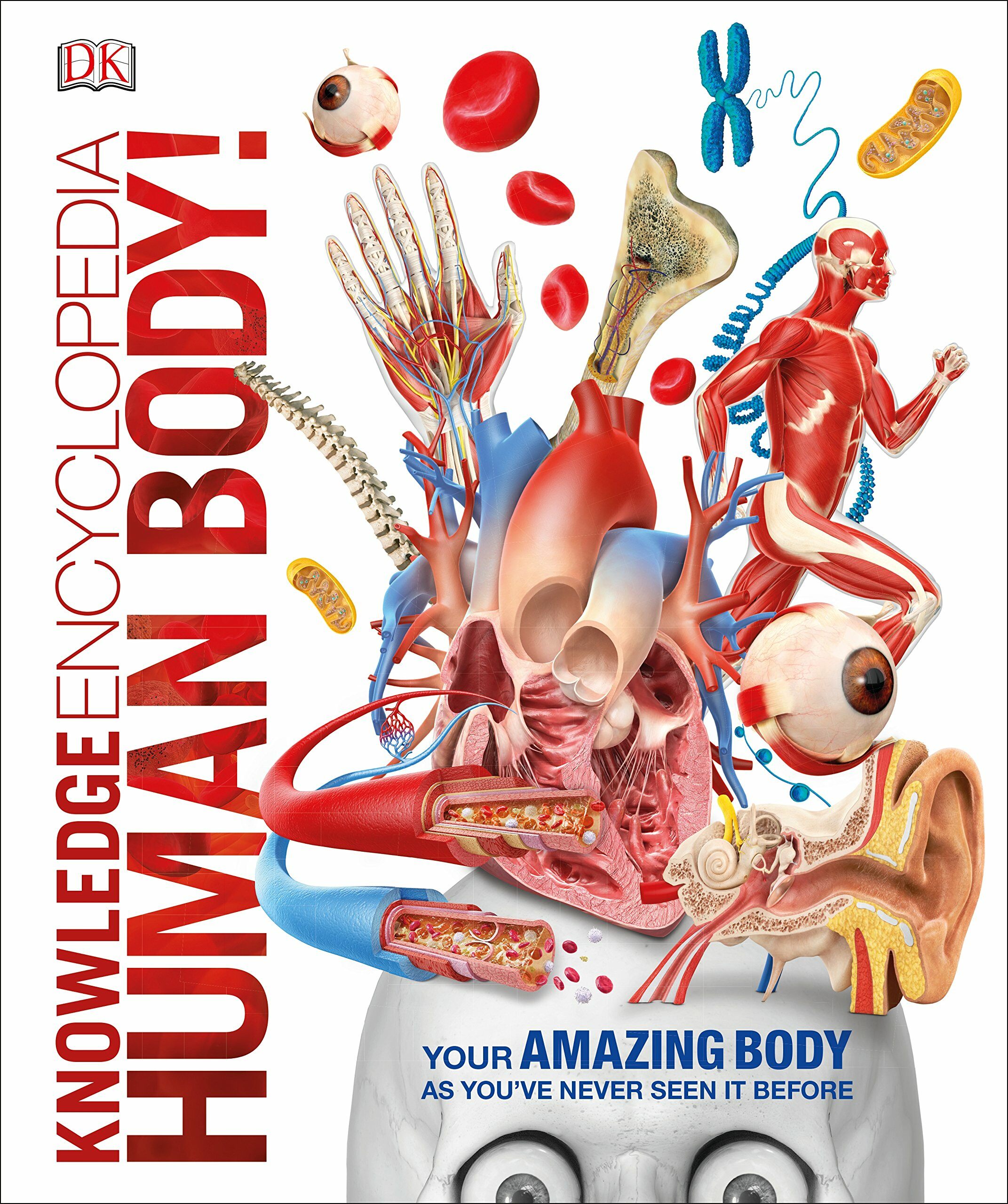 DK Knowledge Encyclopedia : Human Body! (Hardcover)