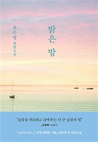 밝은 밤: 최은영 장편소설