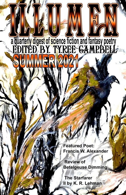 Illumen Summer 2021 (Paperback)