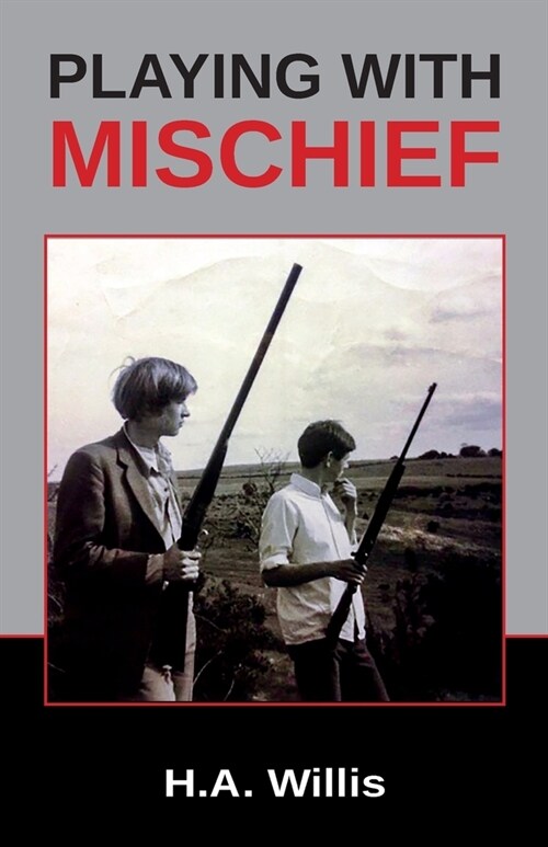 Playing with Mischief (Paperback)