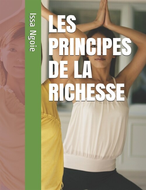Les Principes de la Richesse (Paperback)