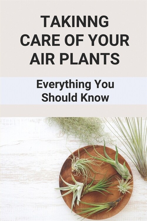 Takinng Care Of Your Air Plants: Everything You Should Know: How To Start Airplane Plants (Paperback)