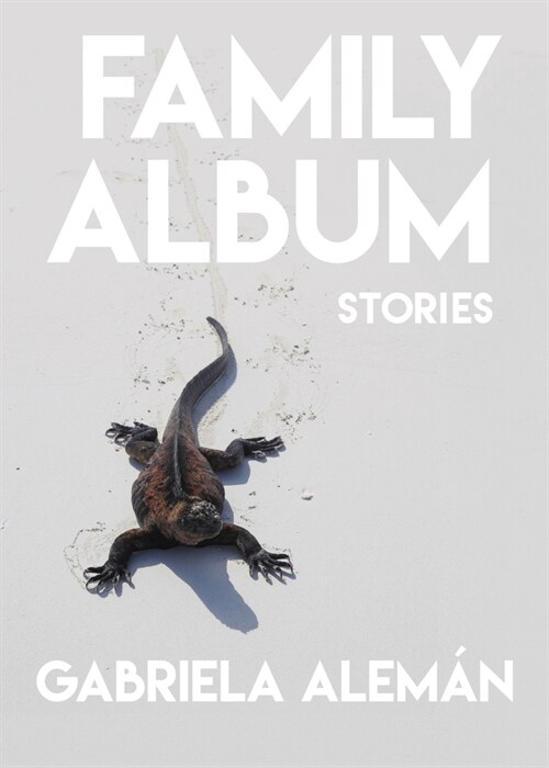 Family Album: Stories (Paperback)