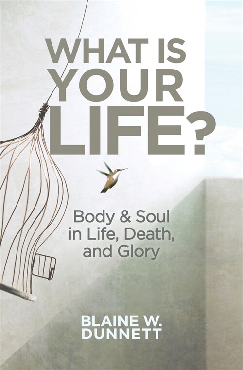 What Is Your Life? (Paperback)