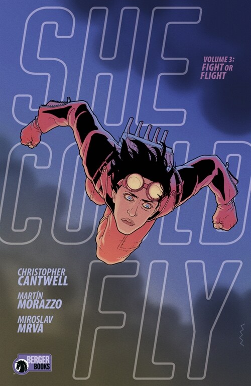 She Could Fly Volume 3: Fight or Flight (Paperback)