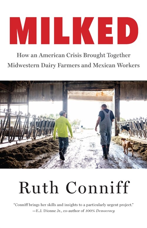 Milked : Dairy Farms and the Mexican Workers at the Heart of an American Crisis (Hardcover)