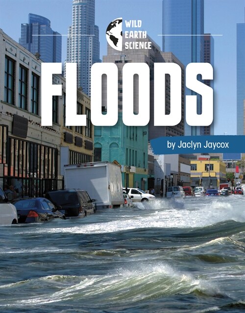 Floods (Hardcover)