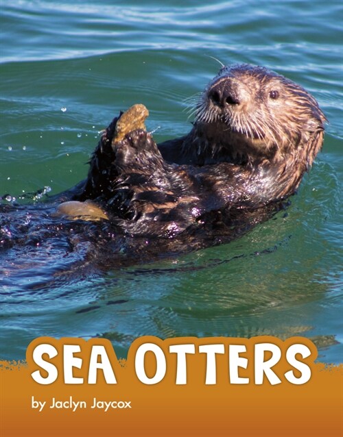 Sea Otters (Paperback)