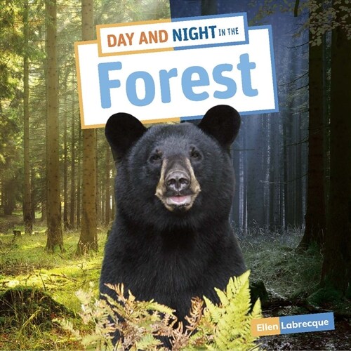 Day and Night in the Forest (Paperback)
