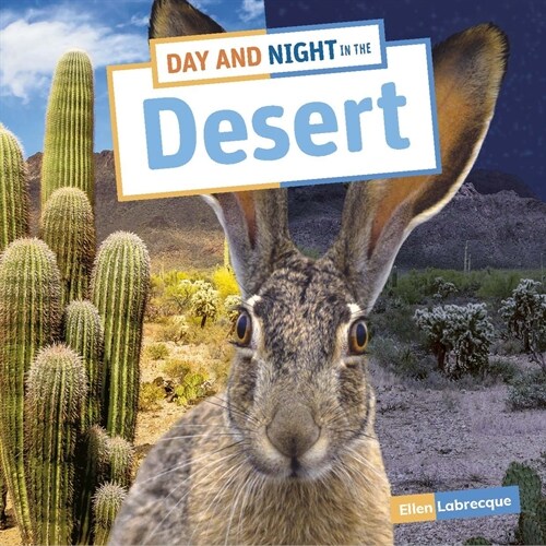 Day and Night in the Desert (Paperback)
