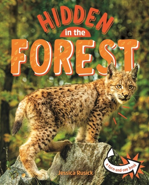 Animals Hidden in the Forest (Paperback)