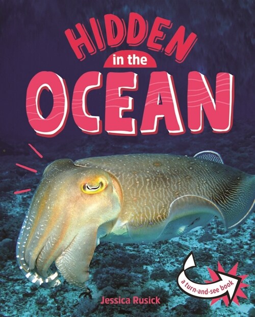 Animals Hidden in the Ocean (Paperback)