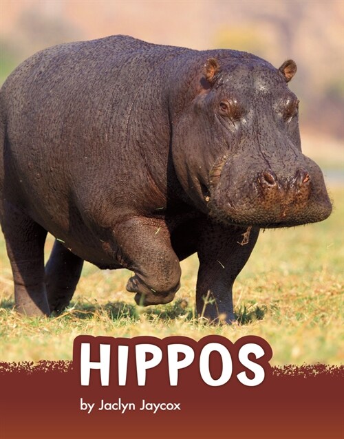 Hippos (Hardcover)