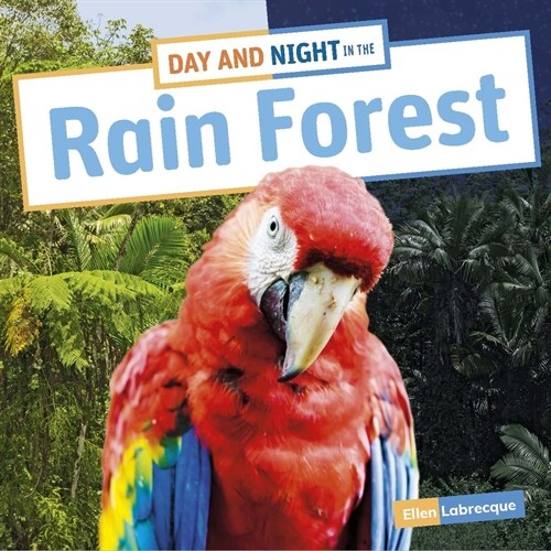 Day and Night in the Rain Forest (Hardcover)