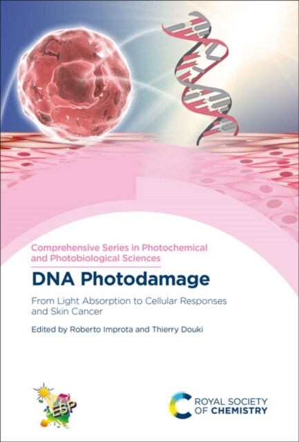 DNA Photodamage : From Light Absorption to Cellular Responses and Skin Cancer (Hardcover)