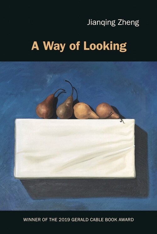 A Way of Looking (Paperback)