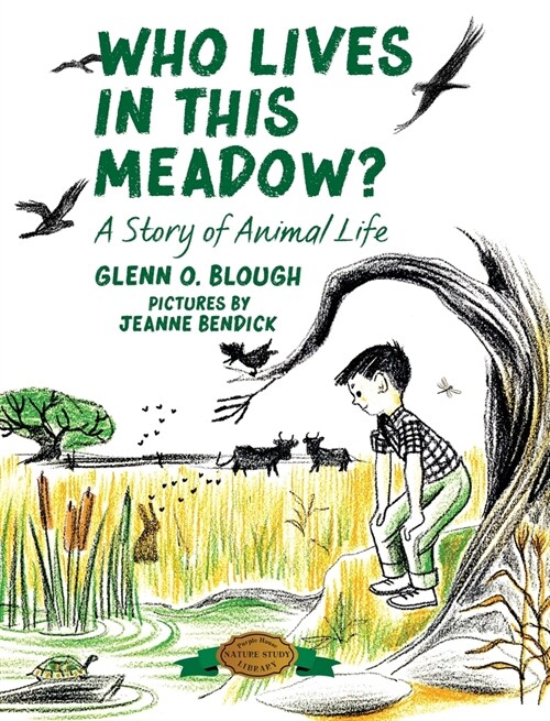 Who Lives in this Meadow?: A Story of Animal Life (Hardcover)