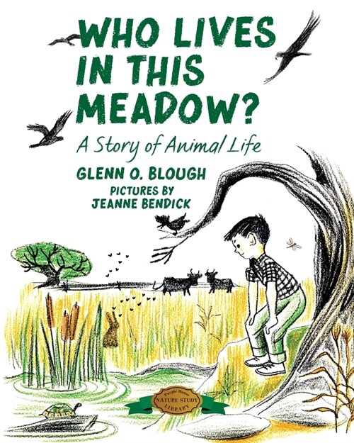 Who Lives in this Meadow?: A Story of Animal Life (Paperback)