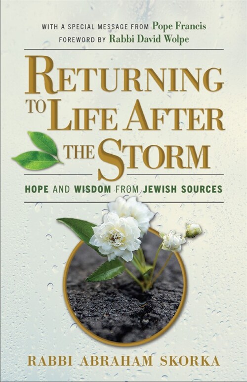 Returning to Life After the Storm (Hardcover)